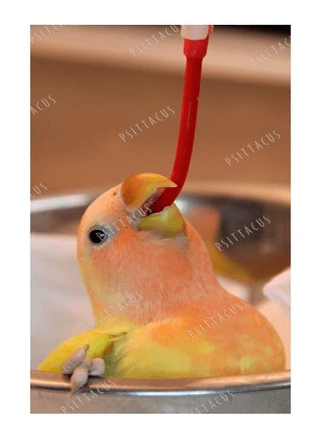Psittacus Bird Hand Feeding Soft Tube 20 ml | Bird Hand Feeding Syringe with Needle - Image 4